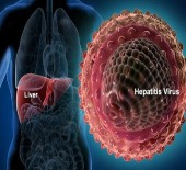 Seroprevalence of Hepatitis 